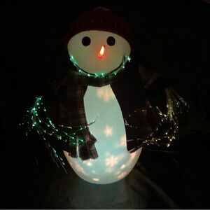 16" Fiber Optic Color Changing Christmas Mr
Snowball Snowman